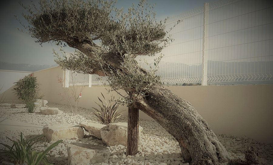 Jardins secs